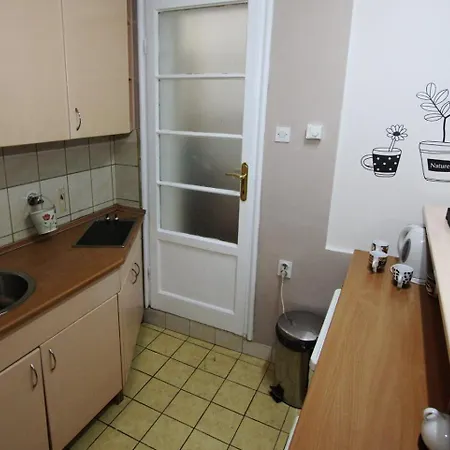 公寓 Savka 贝尔格莱德